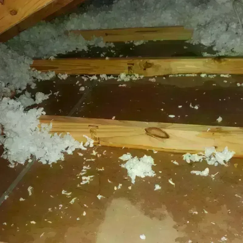 Attic Water Damage in Gove, KS